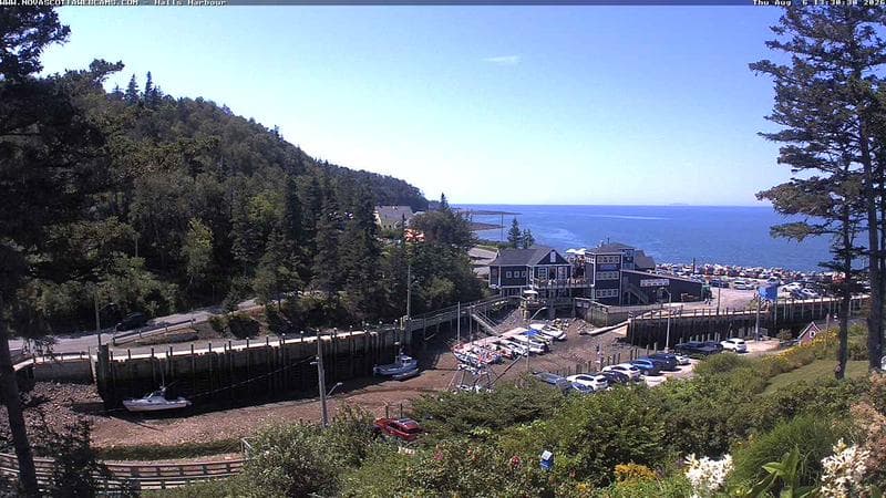 Hall's Harbour