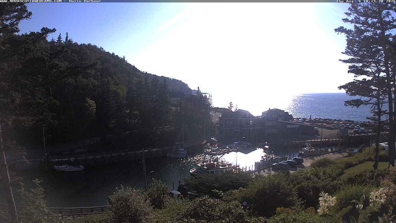 Hall's Harbour