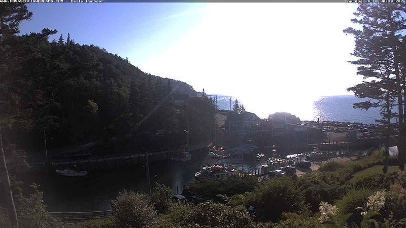 Hall's Harbour