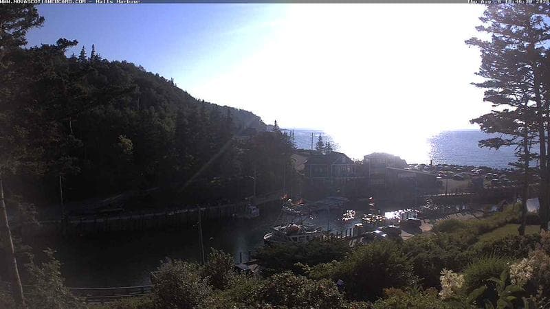 Hall's Harbour