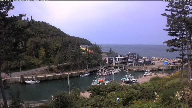 Hall's Harbour