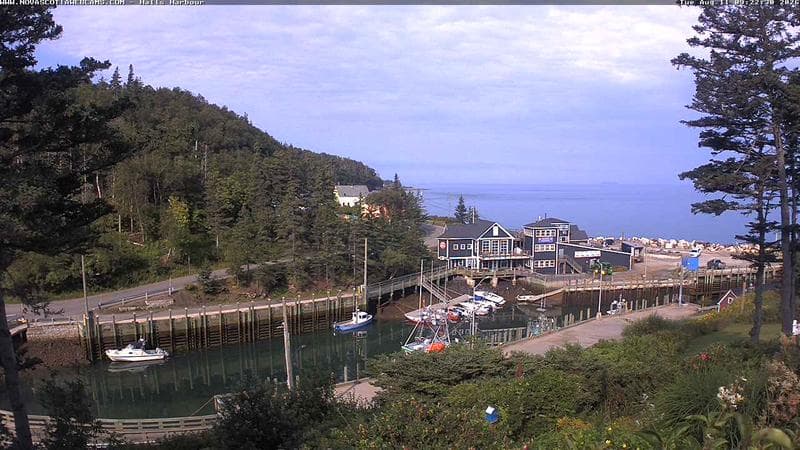 Hall's Harbour