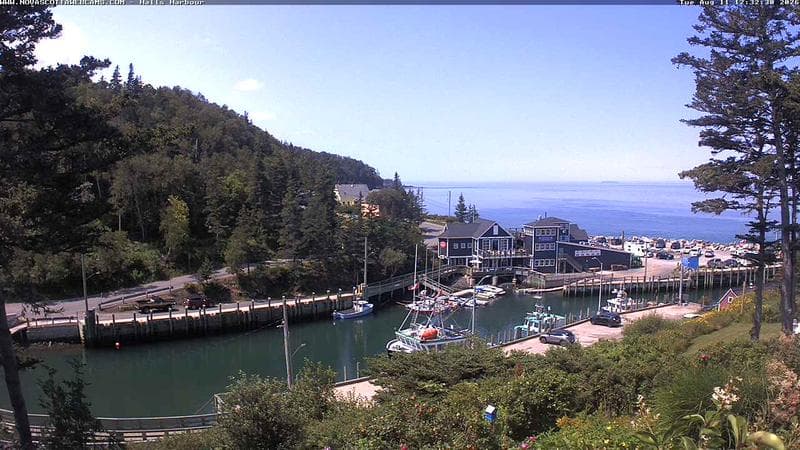 Hall's Harbour