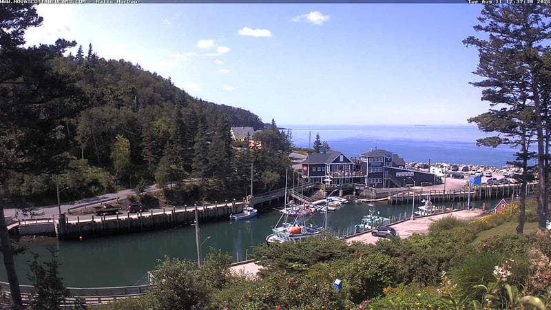 Hall's Harbour