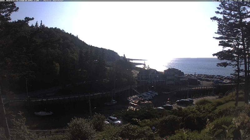 Hall's Harbour