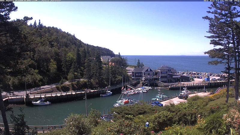 Hall's Harbour