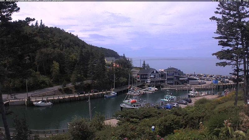 Hall's Harbour
