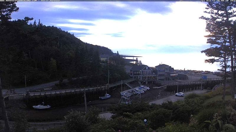 Hall's Harbour