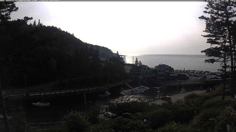 Hall's Harbour