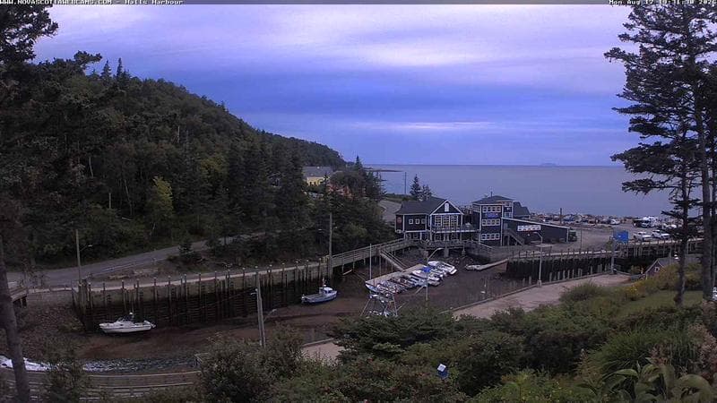 Hall's Harbour
