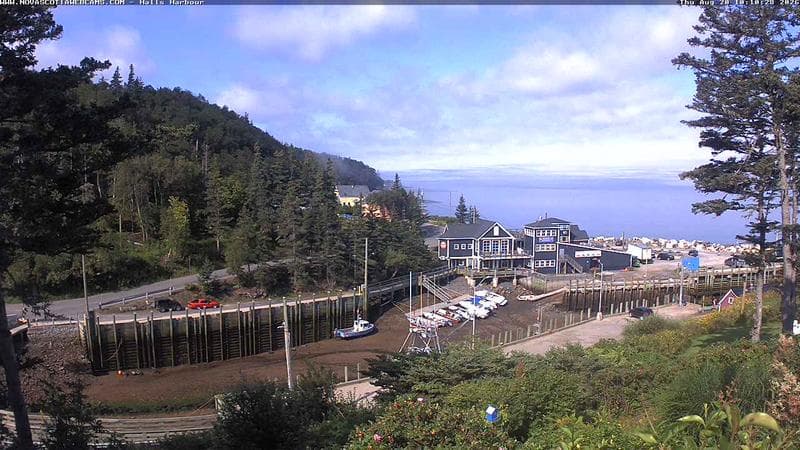 Hall's Harbour