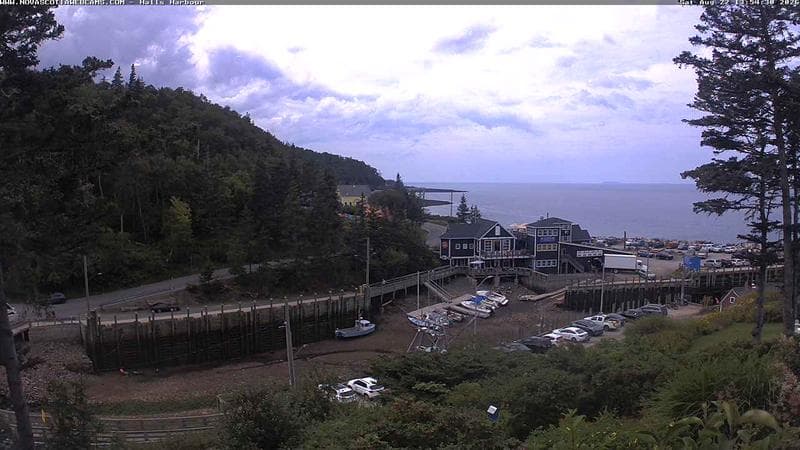 Hall's Harbour
