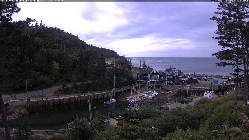 Hall's Harbour
