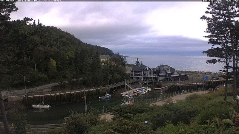 Hall's Harbour