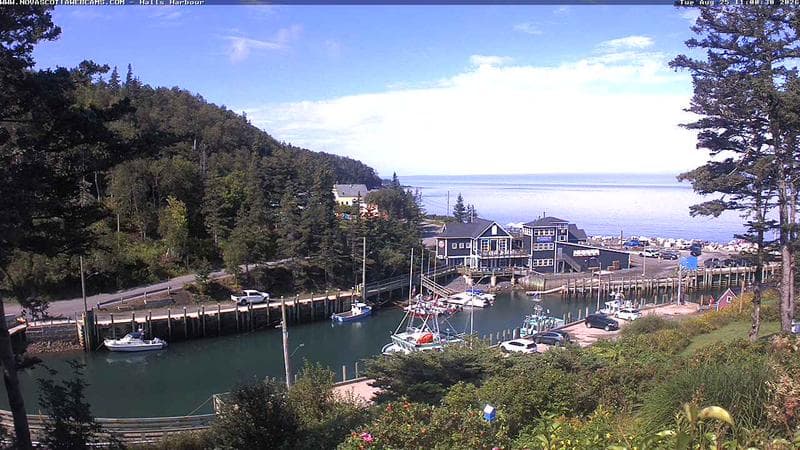 Hall's Harbour