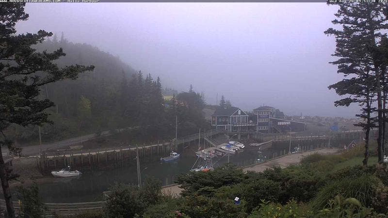 Hall's Harbour