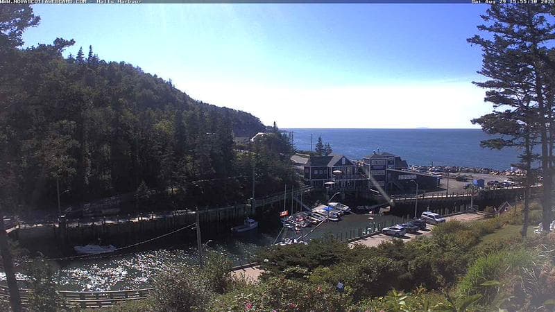 Hall's Harbour