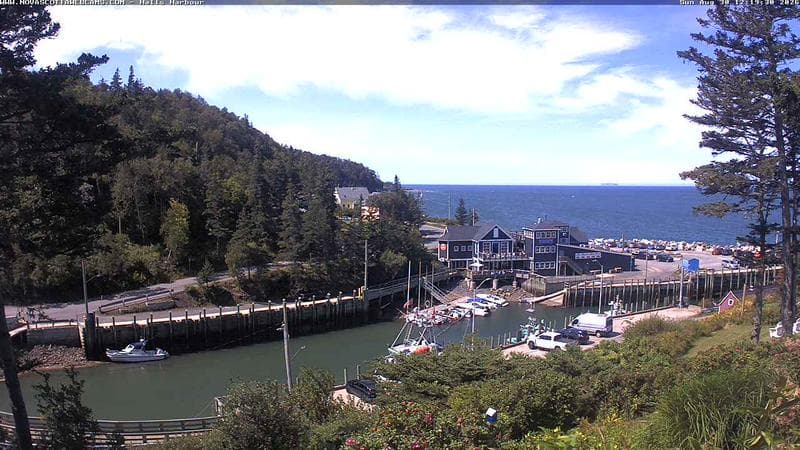 Hall's Harbour