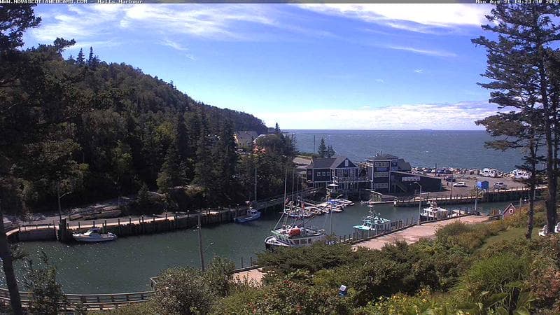Hall's Harbour