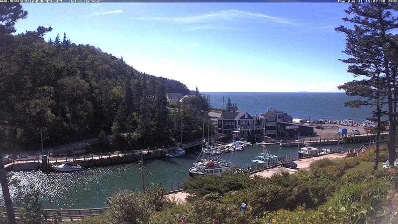 Hall's Harbour