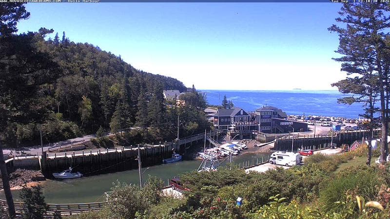 Hall's Harbour