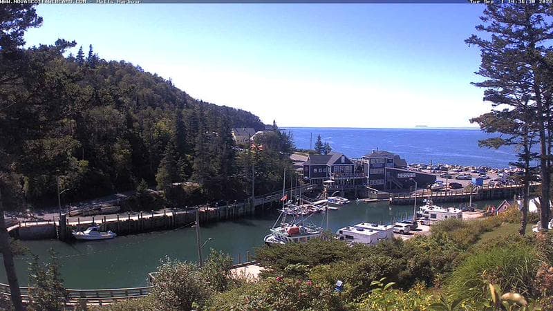 Hall's Harbour