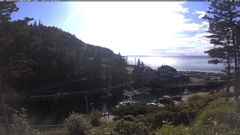 Hall's Harbour
