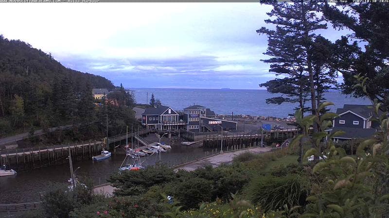 Hall's Harbour