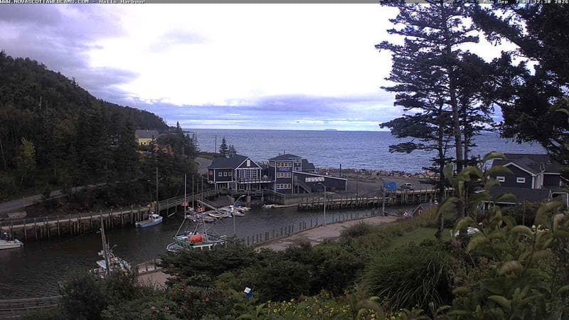 Hall's Harbour