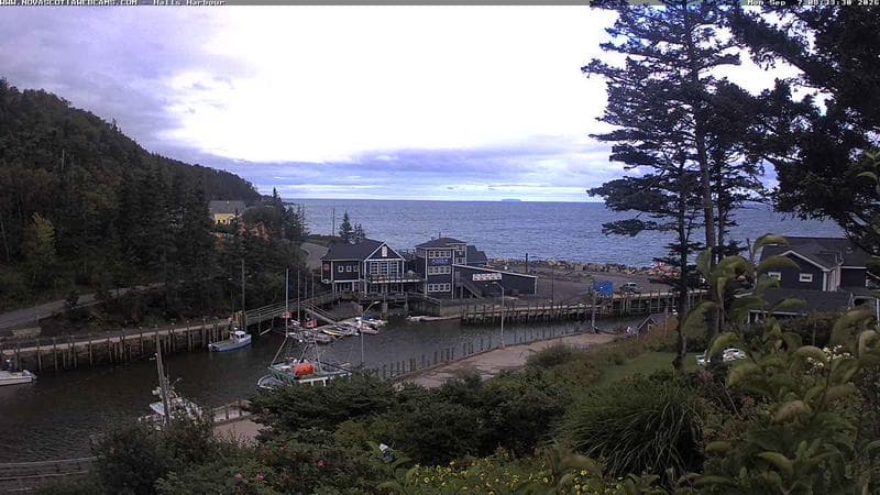 Hall's Harbour