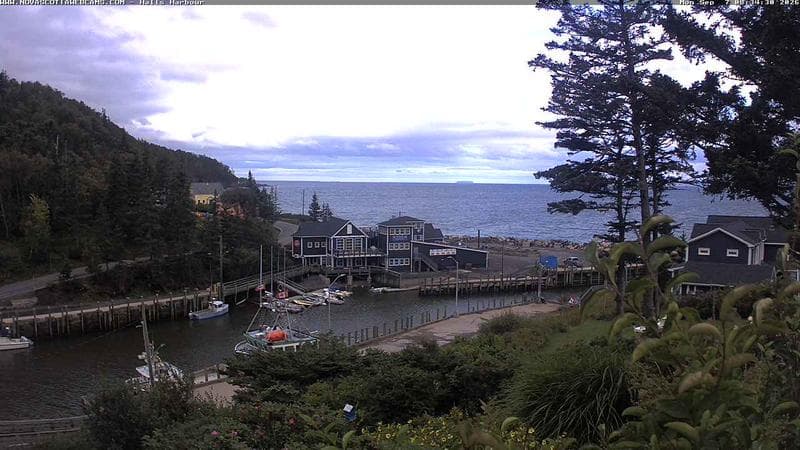 Hall's Harbour