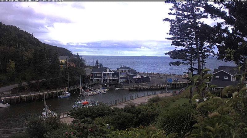 Hall's Harbour