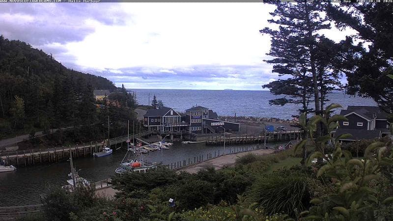 Hall's Harbour