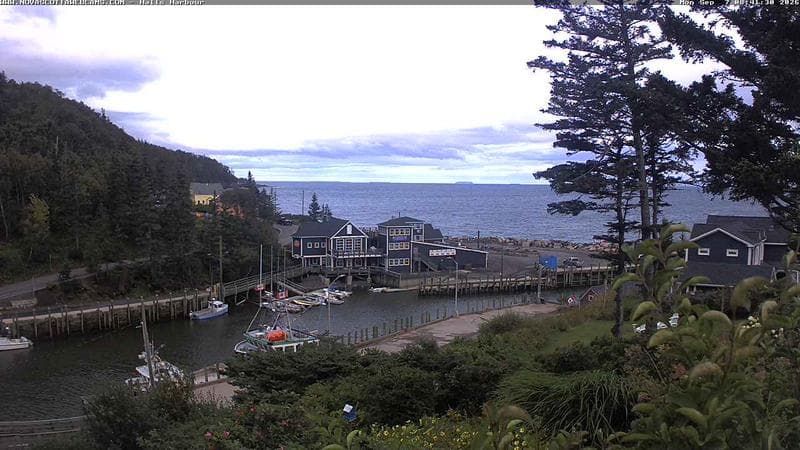 Hall's Harbour