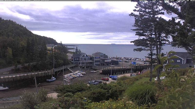 Hall's Harbour