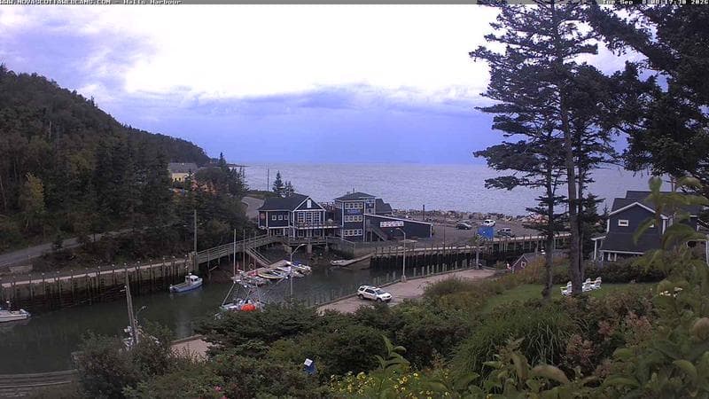 Hall's Harbour