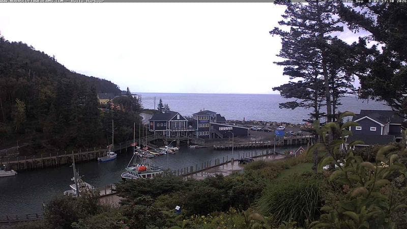 Hall's Harbour