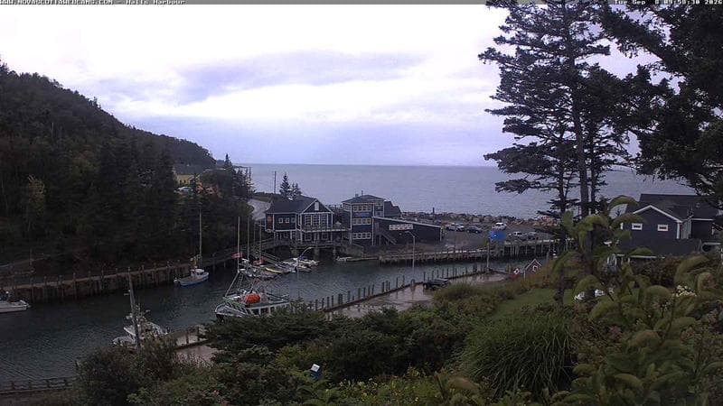 Hall's Harbour