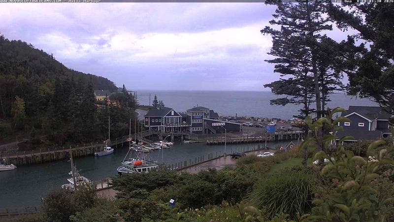 Hall's Harbour