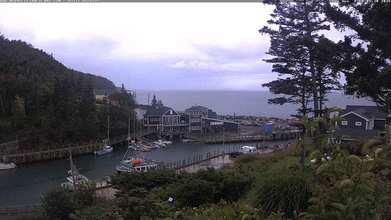 Hall's Harbour