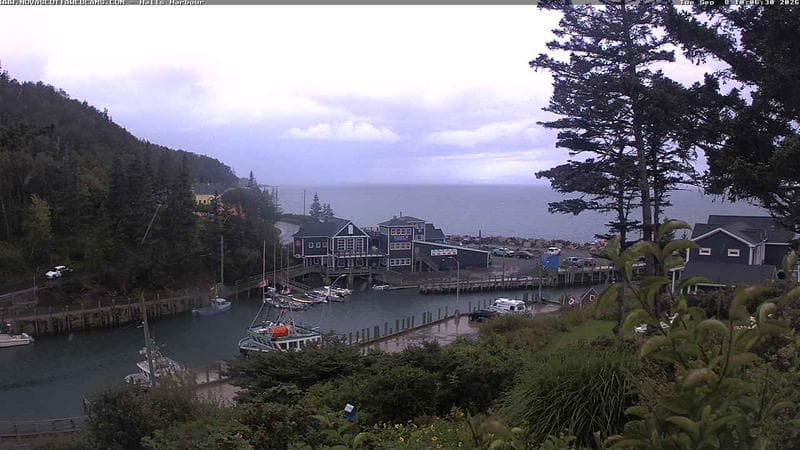 Hall's Harbour