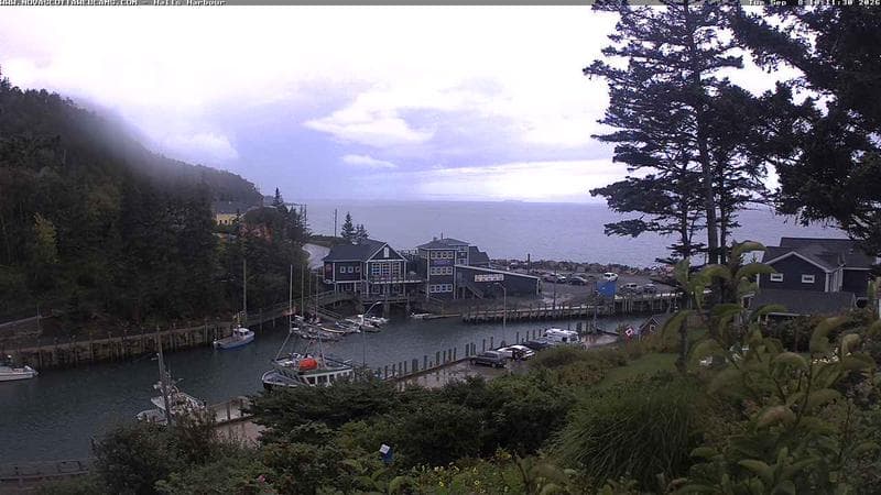 Hall's Harbour