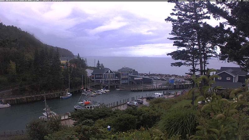 Hall's Harbour