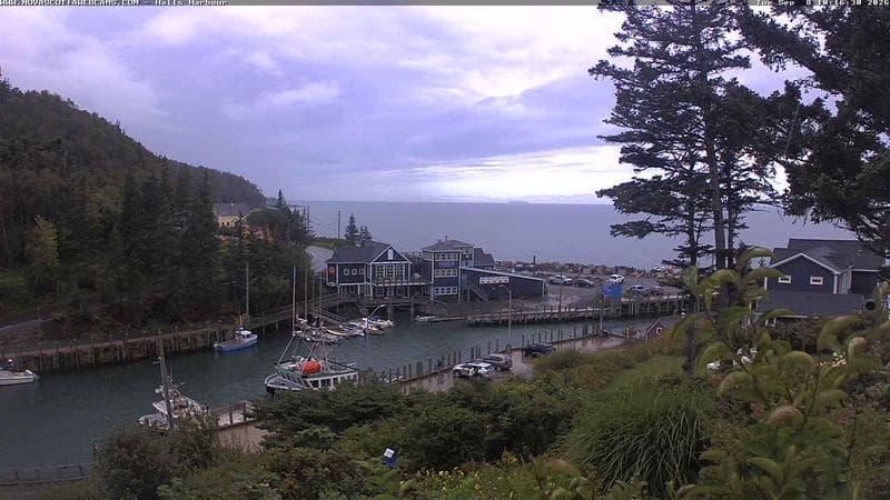 Hall's Harbour