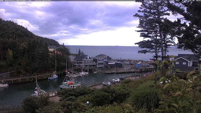 Hall's Harbour