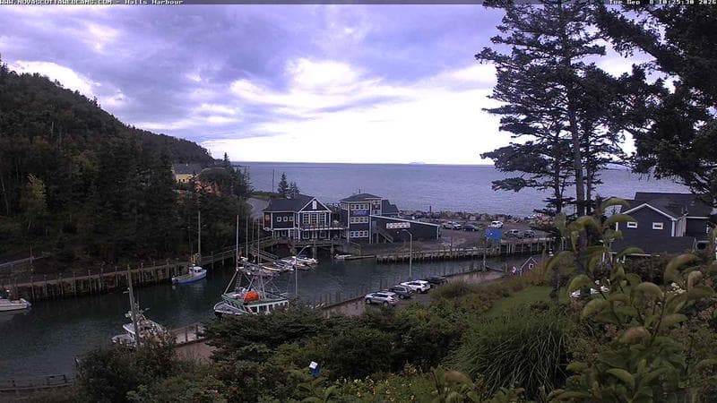 Hall's Harbour