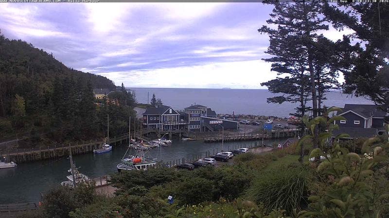 Hall's Harbour