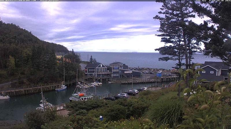 Hall's Harbour
