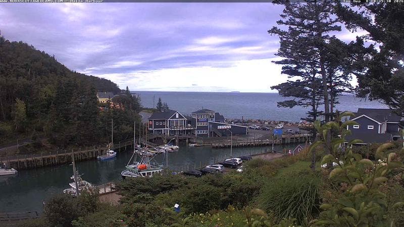 Hall's Harbour