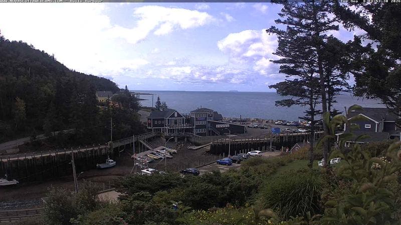 Hall's Harbour
